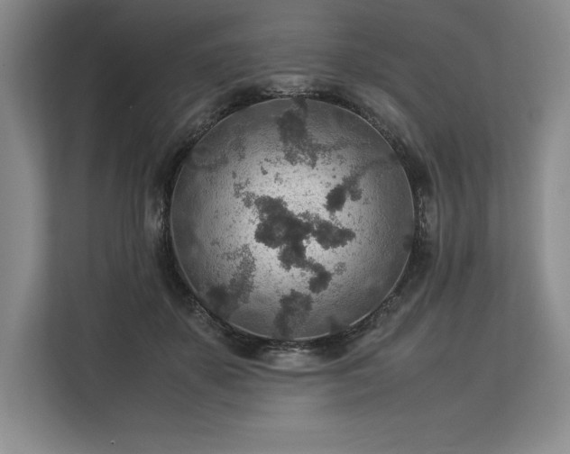 X0000113310507200909211145