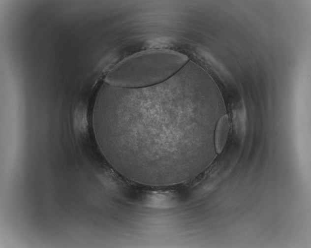 X0000113310508200909211145