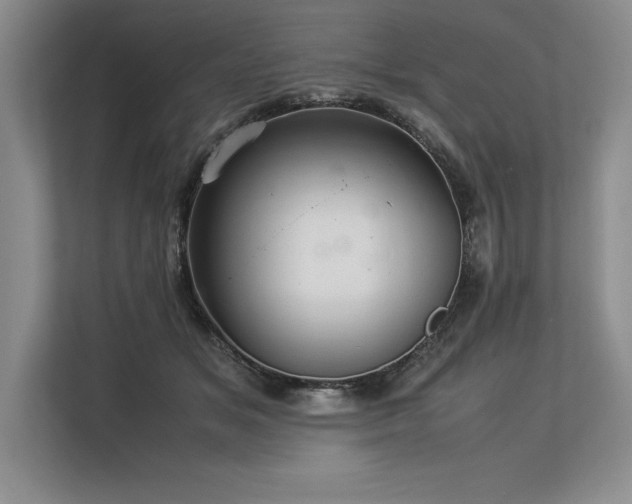 X0000113310509200909211145