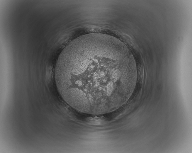 X0000113310511200909211145