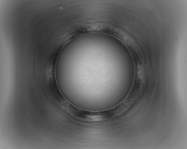 X0000113310514200909211145