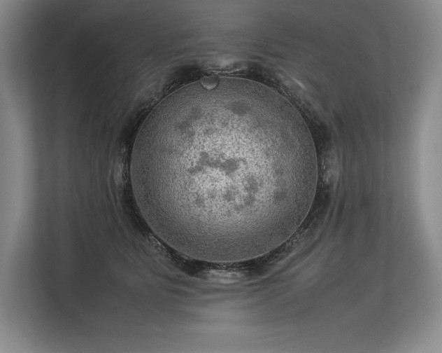 X0000113310515200909211145