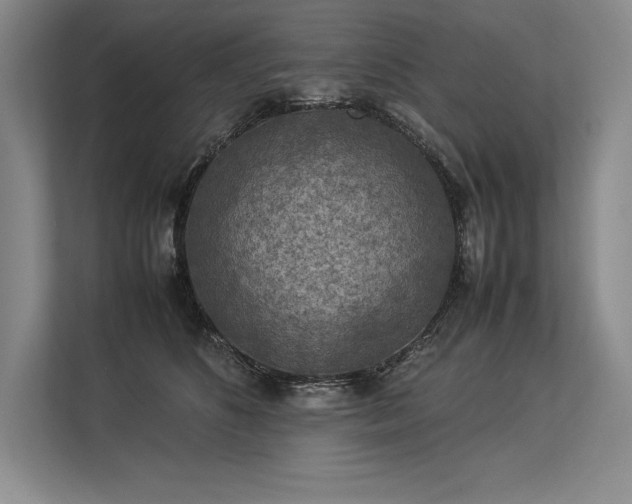 X0000113310516200909211144