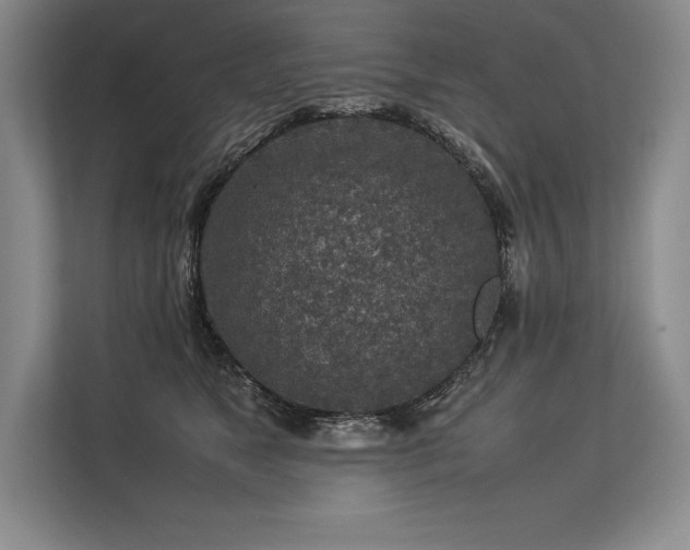 X0000113310517200909211144