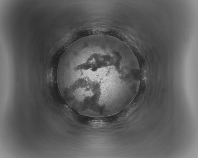 X0000113310519200909211144