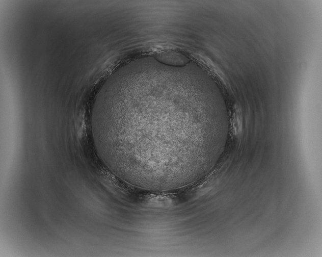 X0000113310520200909211144