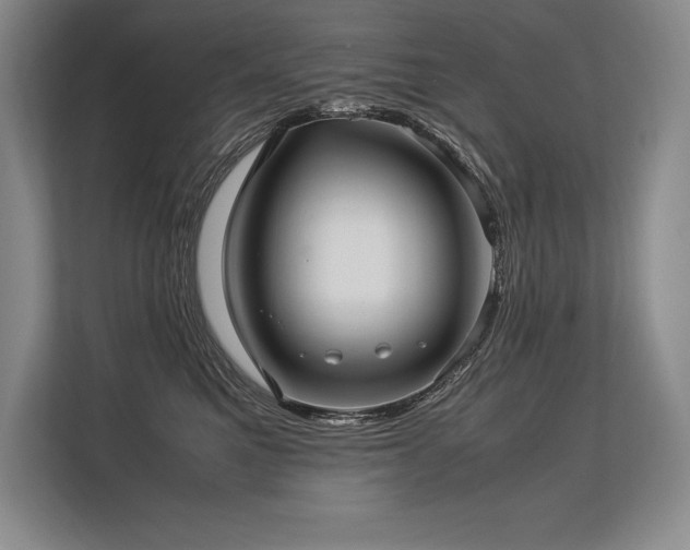 X0000113310521200909211144