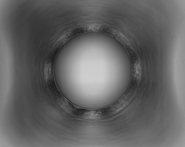 X0000113310522200909211144