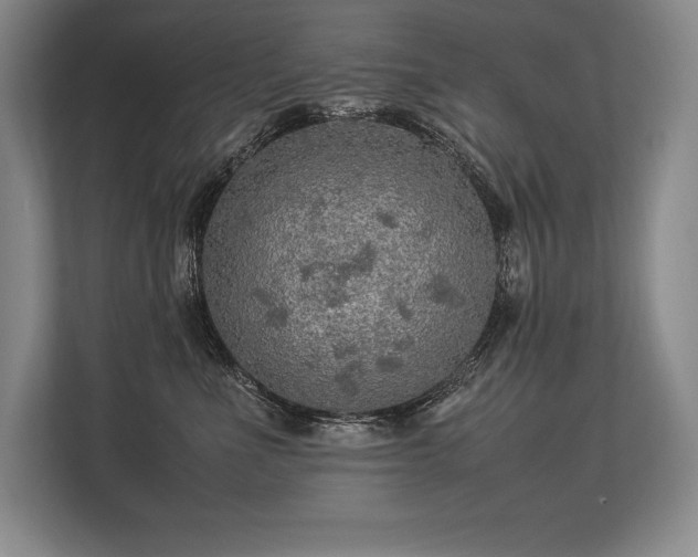 X0000113310523200909211144