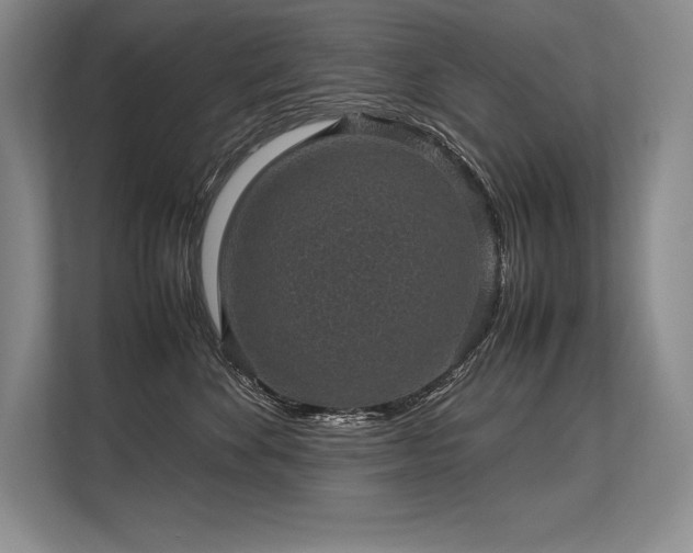 X0000113310524200909211144