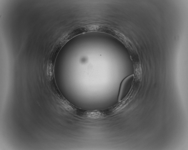 X0000113310525200909211144