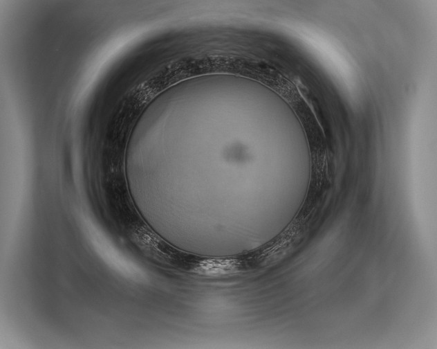 X0000113310526200909211144