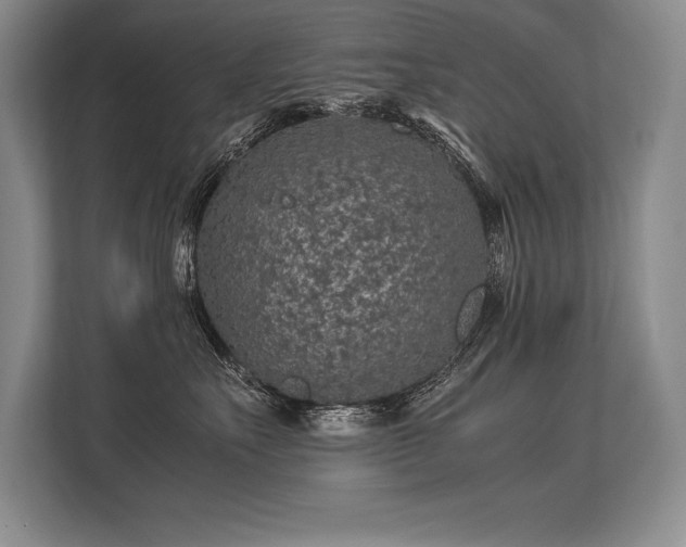 X0000113310527200909211144