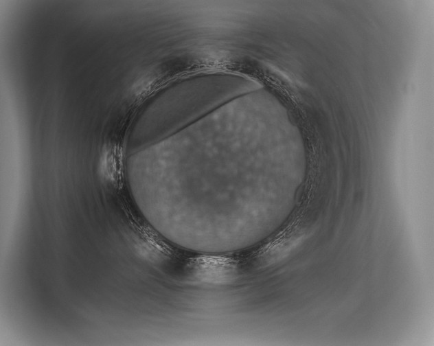 X0000113310528200909211144