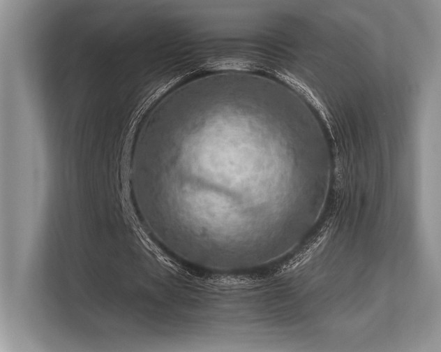 X0000113310529200909211144