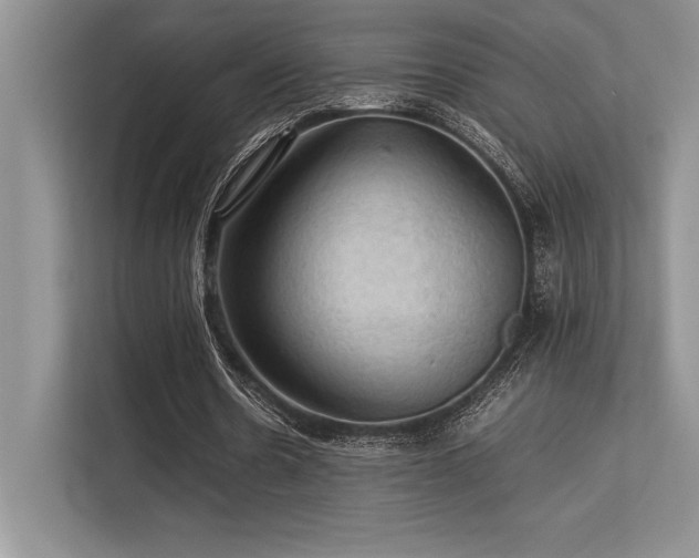 X0000113310530200909211144