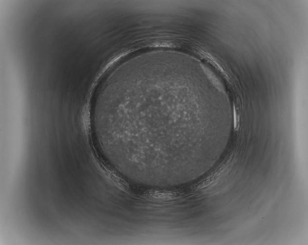 X0000113310531200909211144