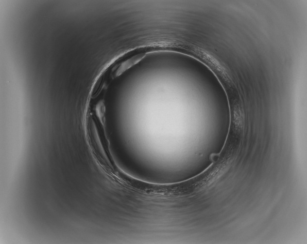 X0000113310532200909211144