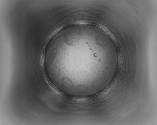 X0000113310533200909211144