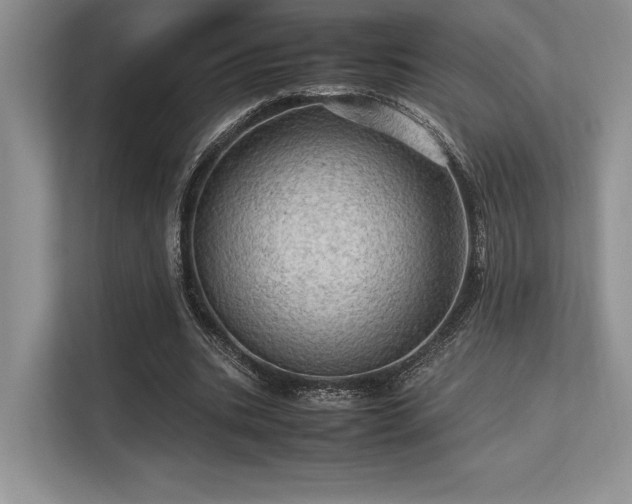 X0000113310535200909211144