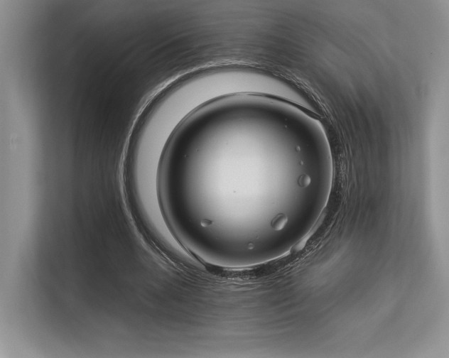 X0000113310536200909211144