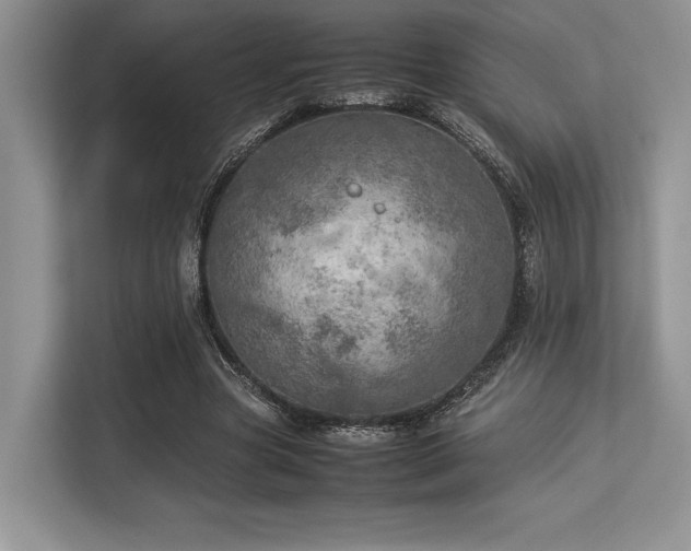 X0000113310537200909211144