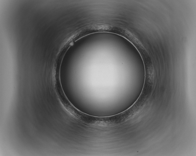 X0000113310538200909211144