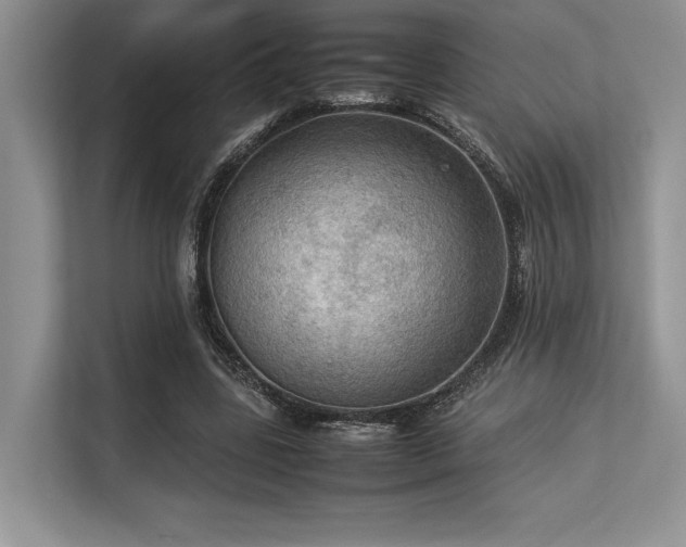 X0000113310539200909211144