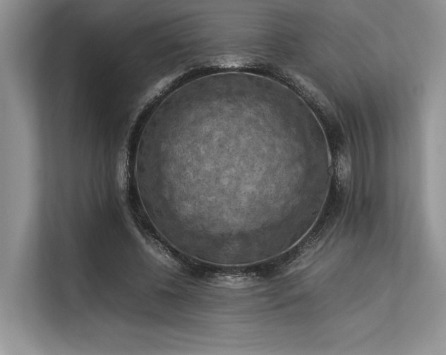 X0000113310540200909211144