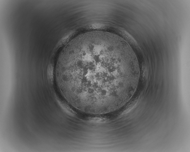 X0000113310542200909211144