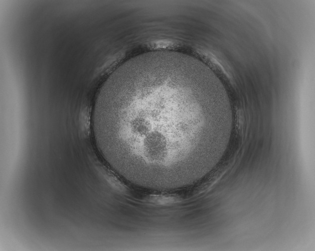 X0000113310545200909211144