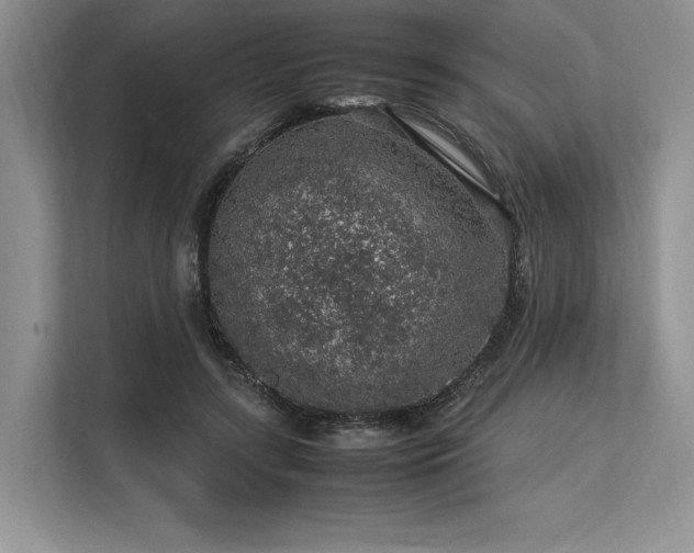 X0000113310547200909211144