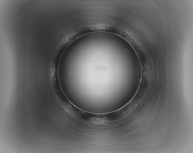 X0000113310548200909211144