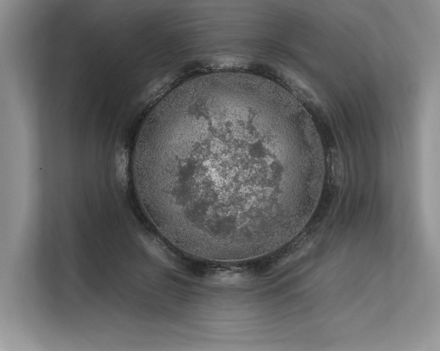 X0000113310550200909211144