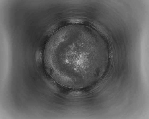 X0000113310551200909211144