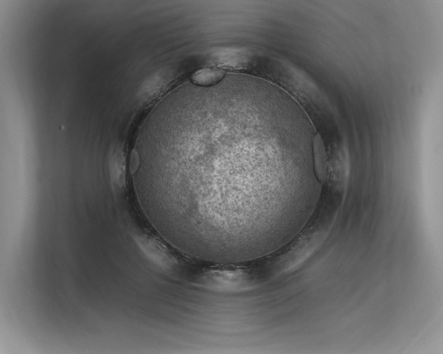 X0000113310552200909211144