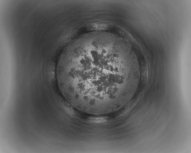 X0000113310553200909211144