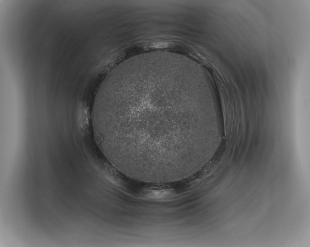 X0000113310555200909211144