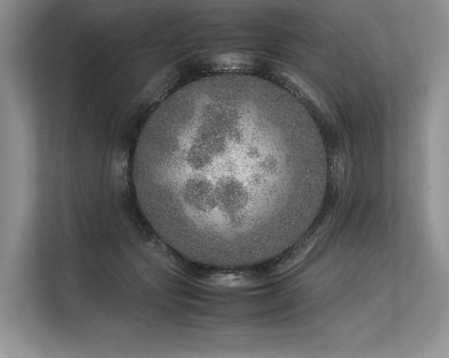 X0000113310557200909211144