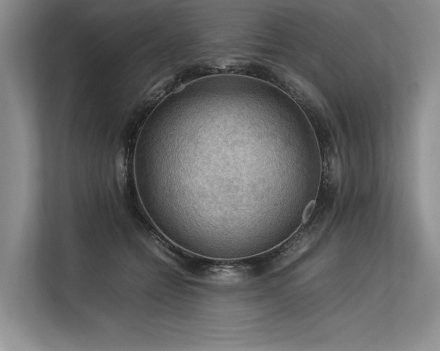 X0000113310558200909211144