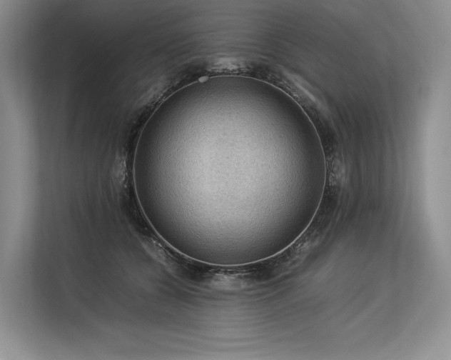 X0000113310560200909211144