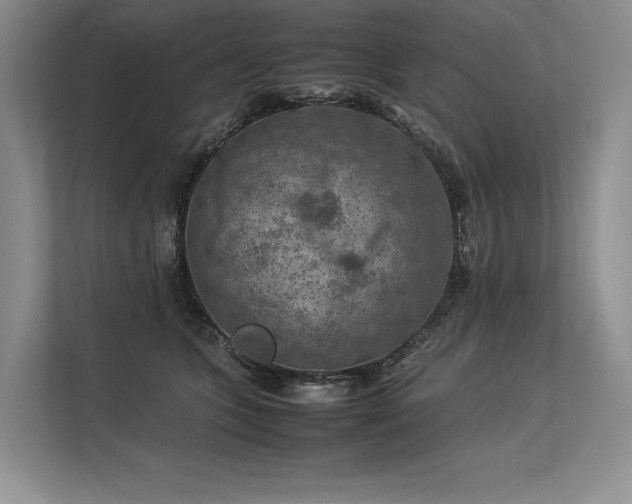 X0000113310563200909211144