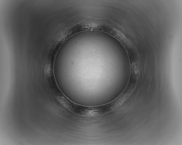 X0000113310564200909211144