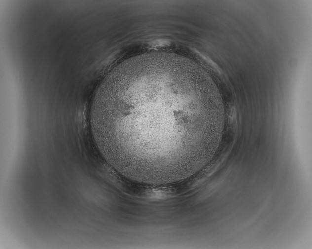 X0000113310565200909211144