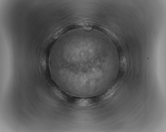 X0000113310566200909211144