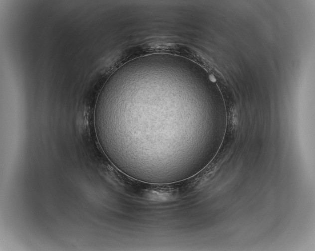 X0000113310567200909211144