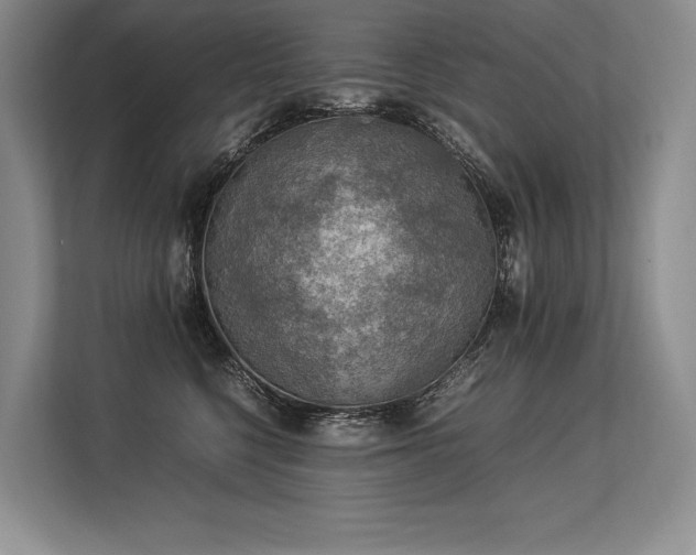 X0000113310568200909211144