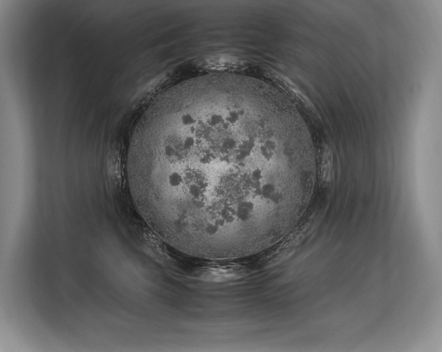 X0000113310569200909211144