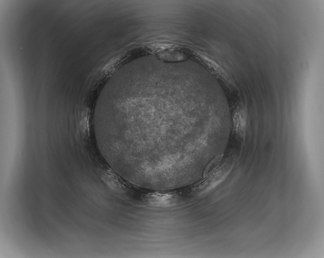 X0000113310570200909211144