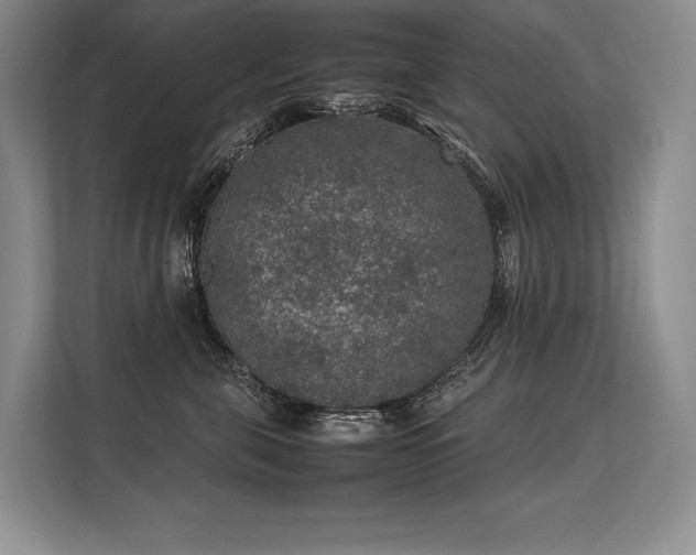 X0000113310571200909211144